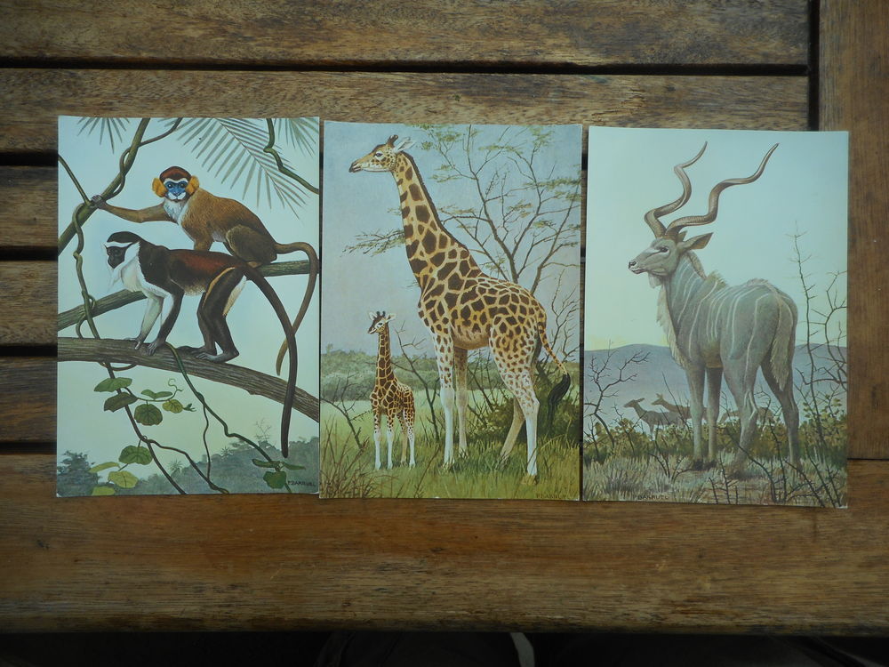 Lot de 9 cartes postales Paul Barruel "Mammif&egrave;res" 