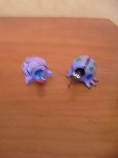 Tortue et coccinelle (28a) 3 Tours (37)