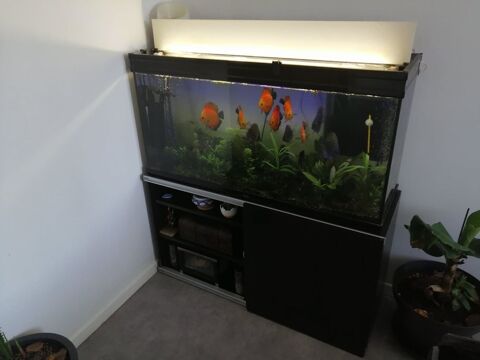 cause d&eacute;m&eacute;nagement proche 250 54300 Moncel-l�s-lun�ville