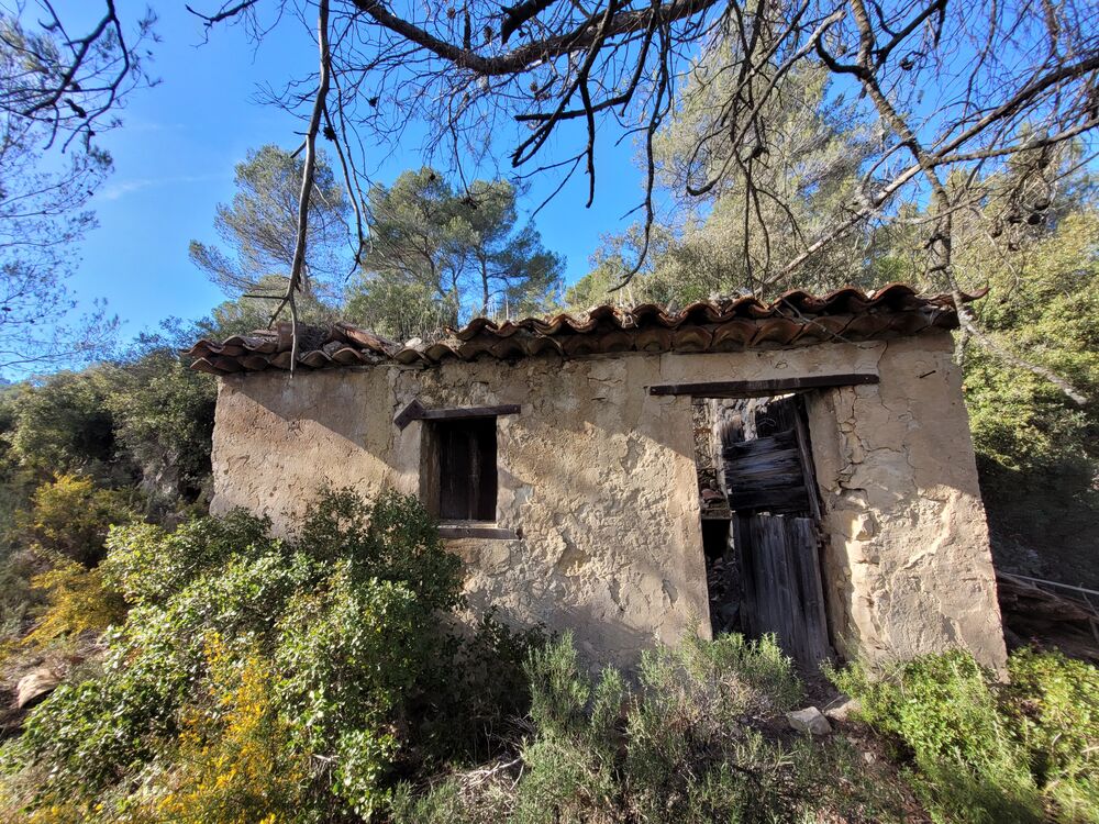 Vente Terrain TERRAIN NON CONSCRUCTIBLE BOISE Fuveau