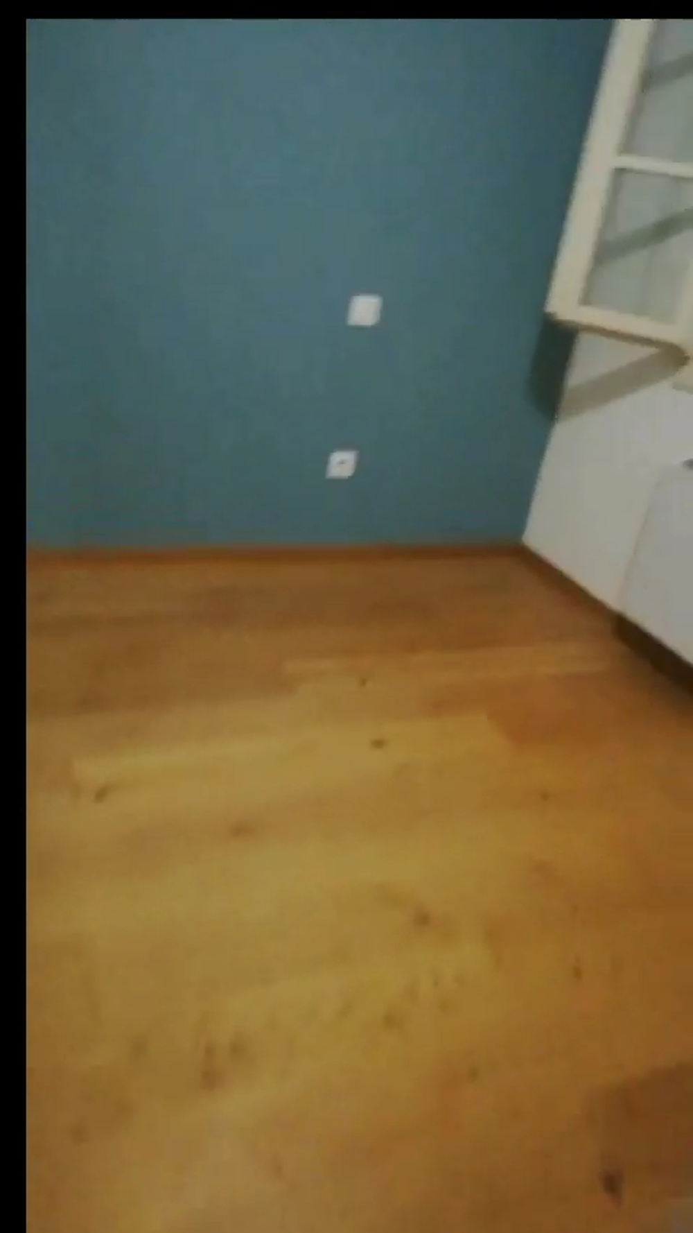 Location Appartement T2 rénové calme et lumineux (proche place de la République) Perpignan