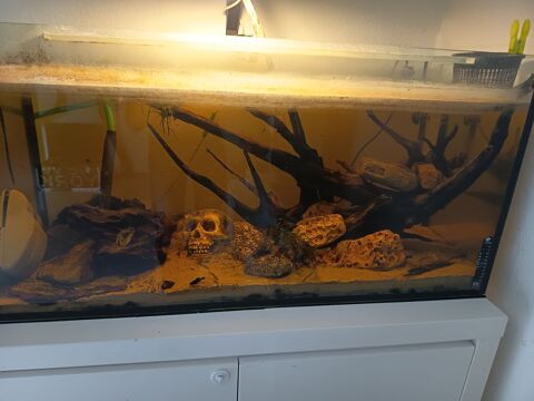 Aquarium 220L complet avec population 80 euros 80 68600 Vogelgrun