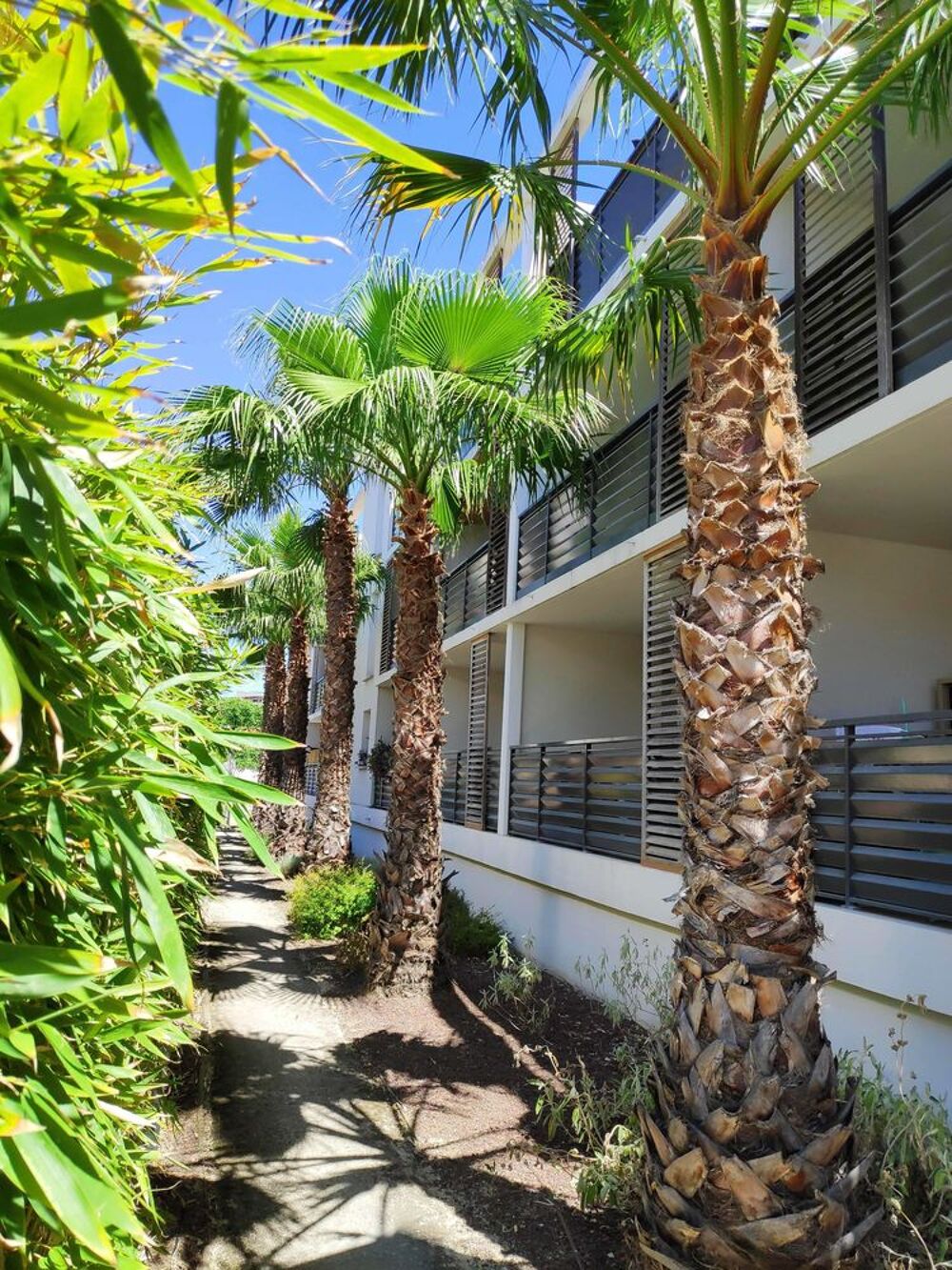 Vente Appartement F2 à Castelnau-Le-Lez, disponibilité immédiate. Castelnau-le-lez