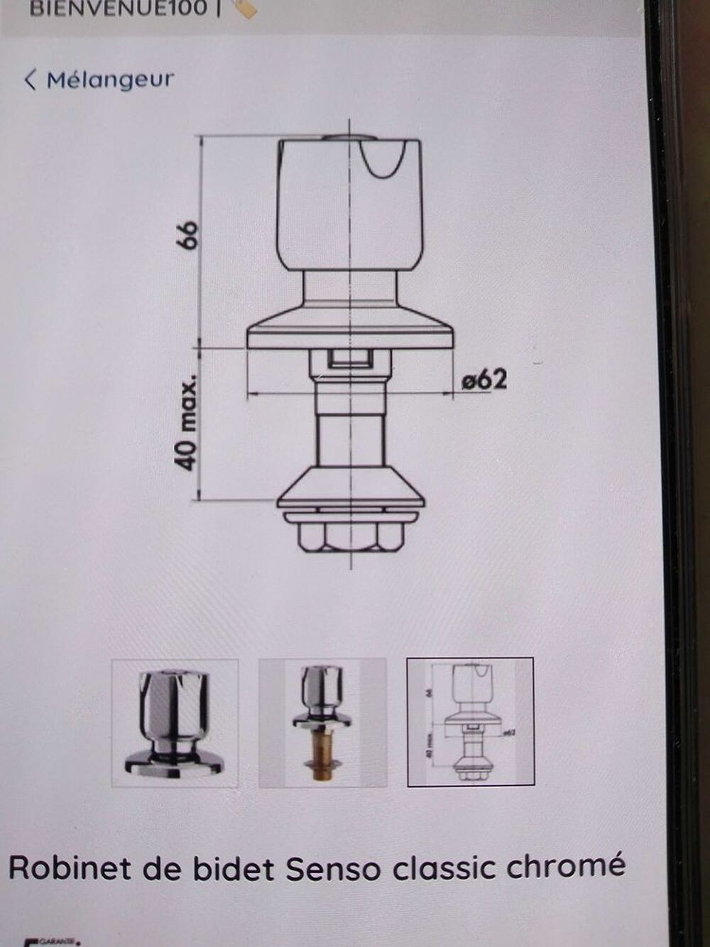 t&ecirc;te bidet hammel Bricolage