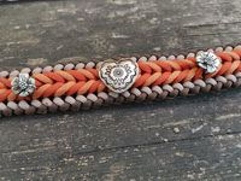   Collier pour Chien  