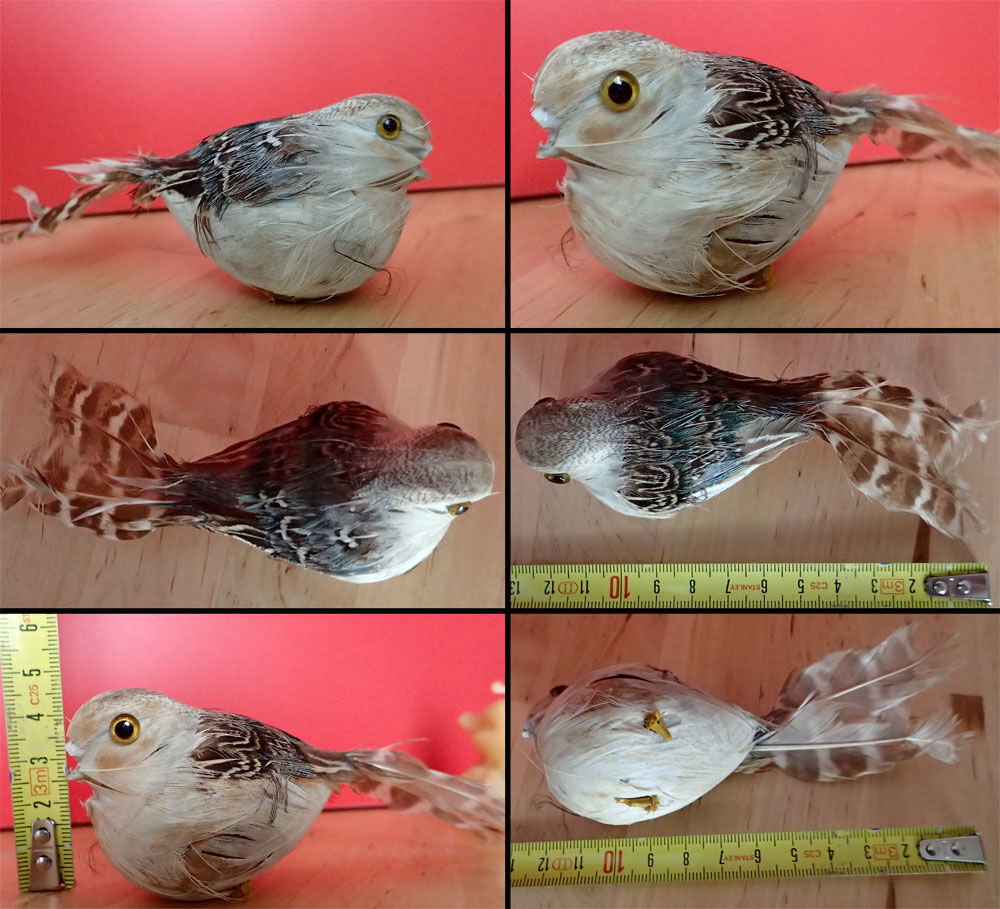 Faux oiseau avec de vraies plumes Décoration