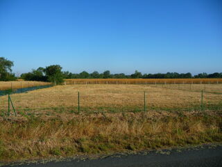  Terrain à vendre 976 m² Argenton-l'Église