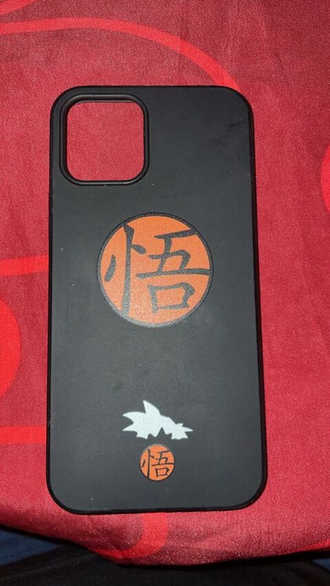 Coque iPhone 12 10 Sainte-Anne (97)