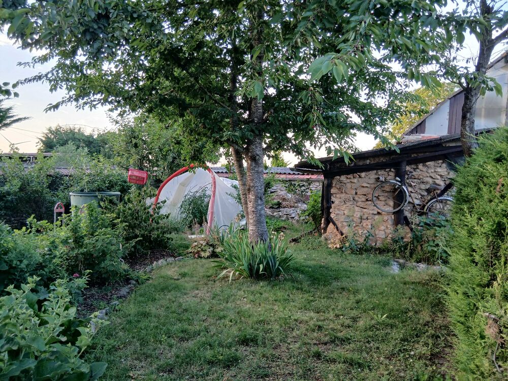   JARDINIER a domicile 20ans d experience 