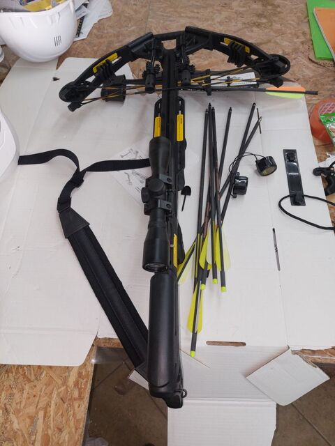 Arbal�te � poulies P 350 Montliard (45)