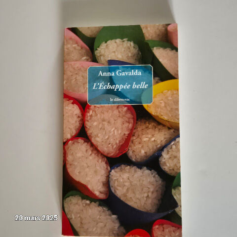 L'�chapp�e belle, d' Anna Gavalda, le dilettante, comme neuf 2 Saumur (49)