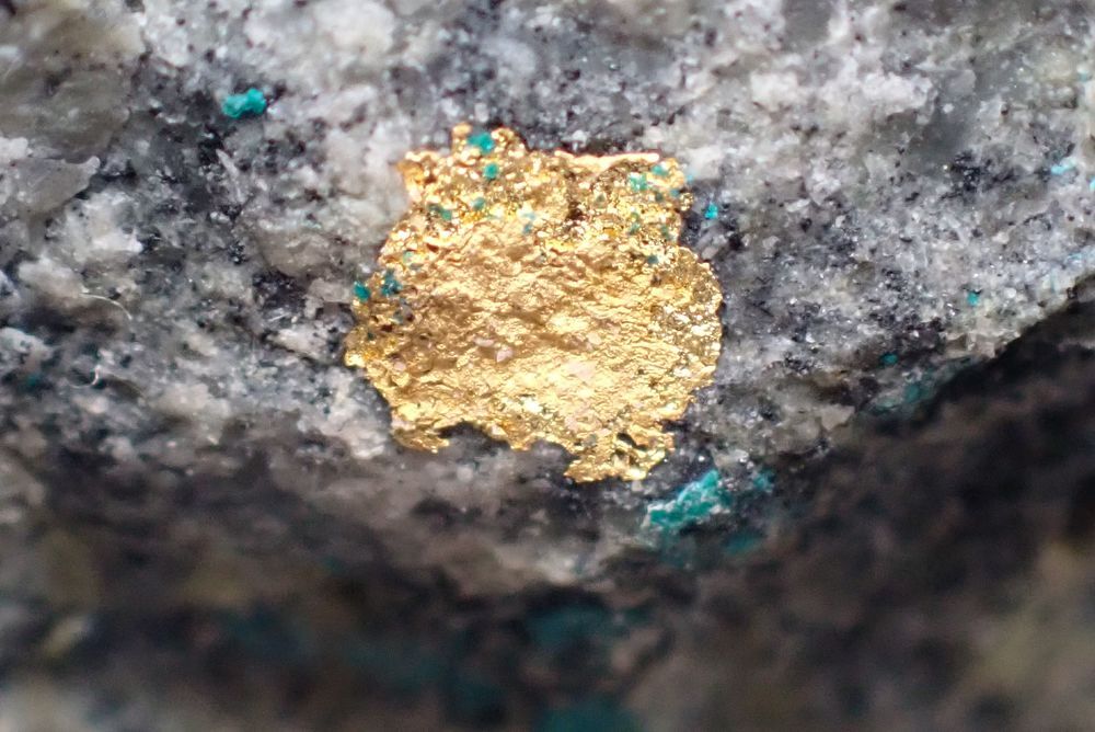 Or natif &amp; Atacamite , La Compagni&atilde; Mine Sierra Gorda Chili 