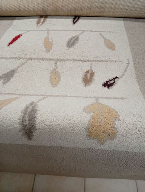 Tapis Colombelles (14)