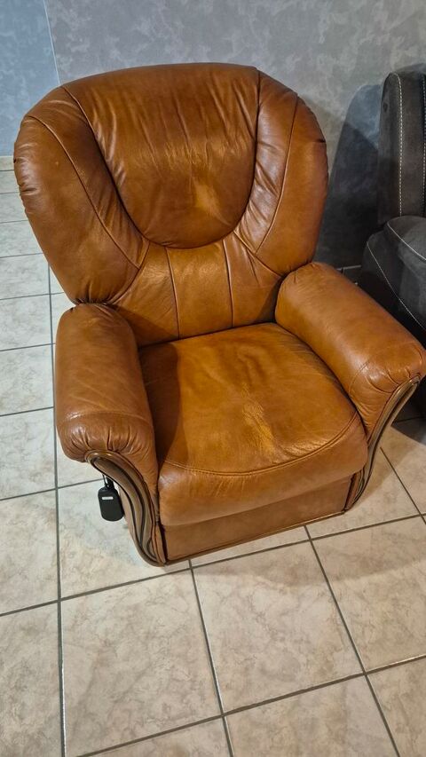 Fauteuil relax électrique 90 Saint-Agnin-sur-Bion (38)