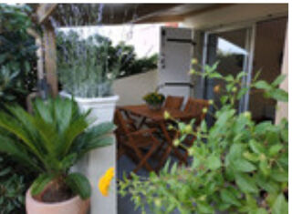 Location  Appartement 
