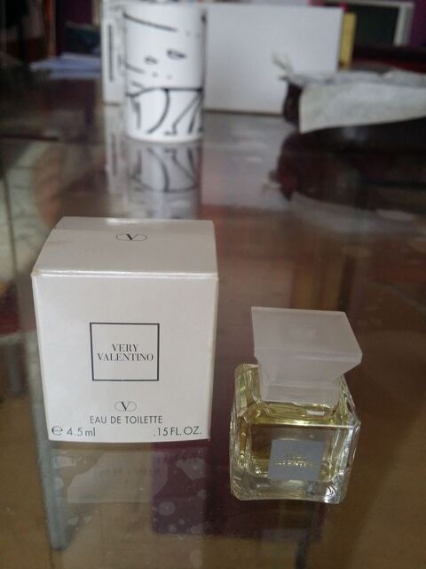 Miniature de parfum 5 Vannes (56)