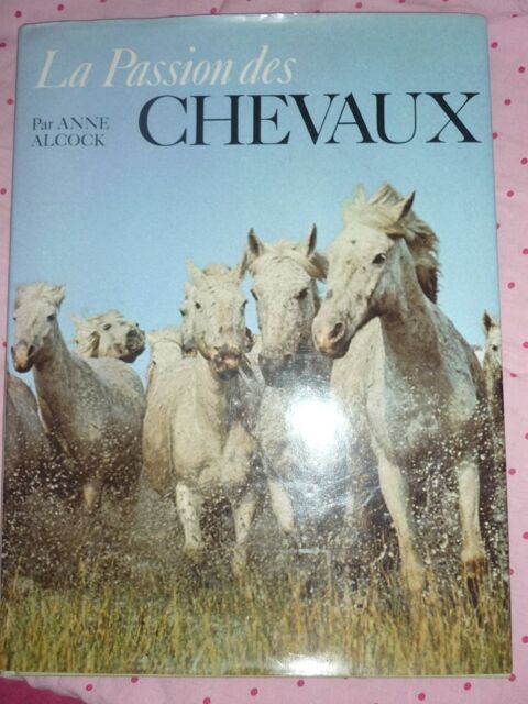 La passion des chevaux par Anne Alcock 5 Bon-Encontre (47)