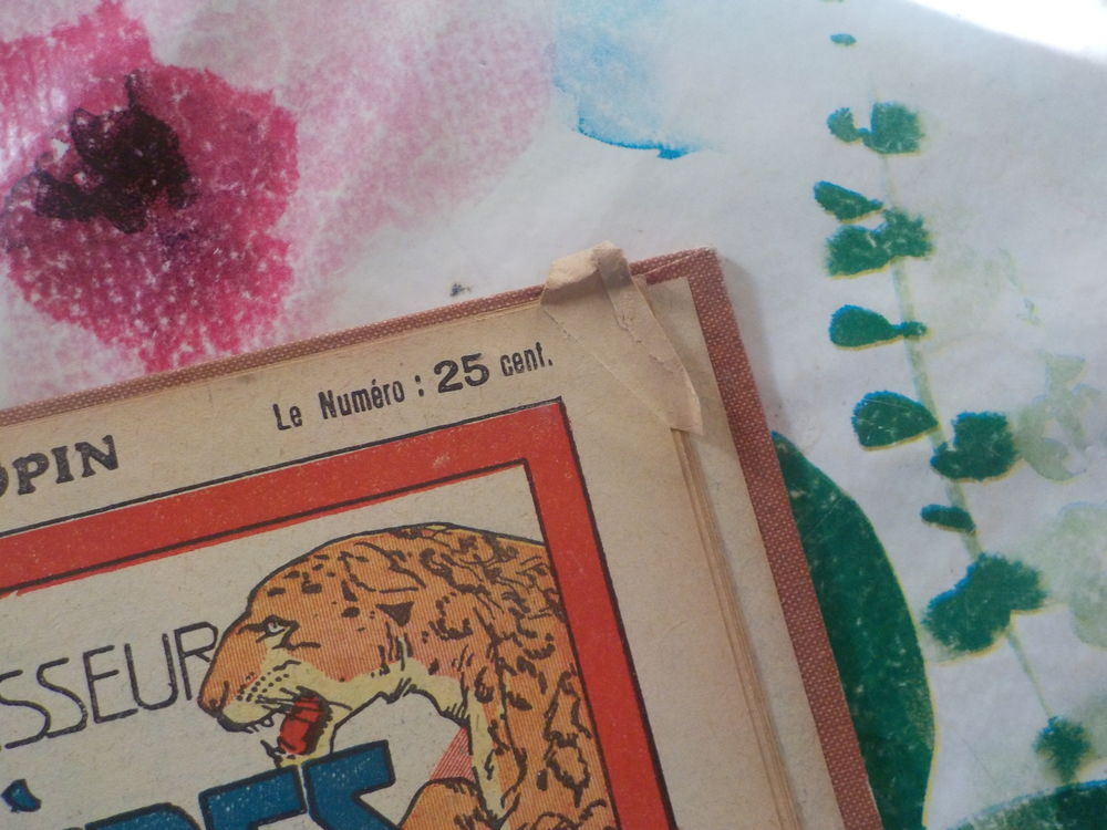 LE PETIT CHASSEUR DE PANTHERES N&deg;1 &agrave; 50 1928 ARNOULD GALOPIN Livres et BD