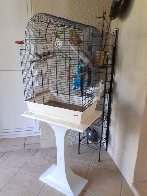CAGE OISEAUX 50 47300 Villeneuve-sur-lot