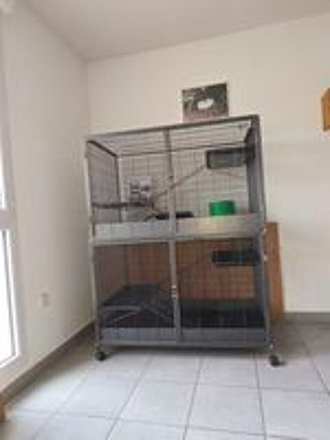   Grande cage Savic Suite Royale XL pour furets, rats ou autre 
