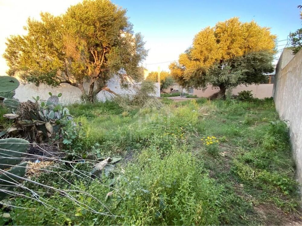 Vente Terrain Lot de terrain de 250 m² à Hammamet 51355351 Hammamet, tunisia (Tunisie)