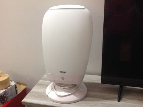 Lampe luminotherapie 50 Ruffey-l�s-Echirey (21)