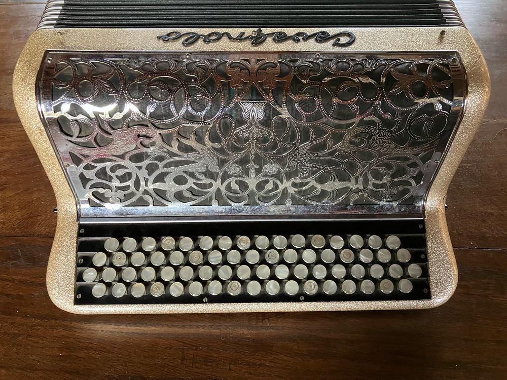 accord&eacute;on 120 basses Cavagnolo Instruments de musique