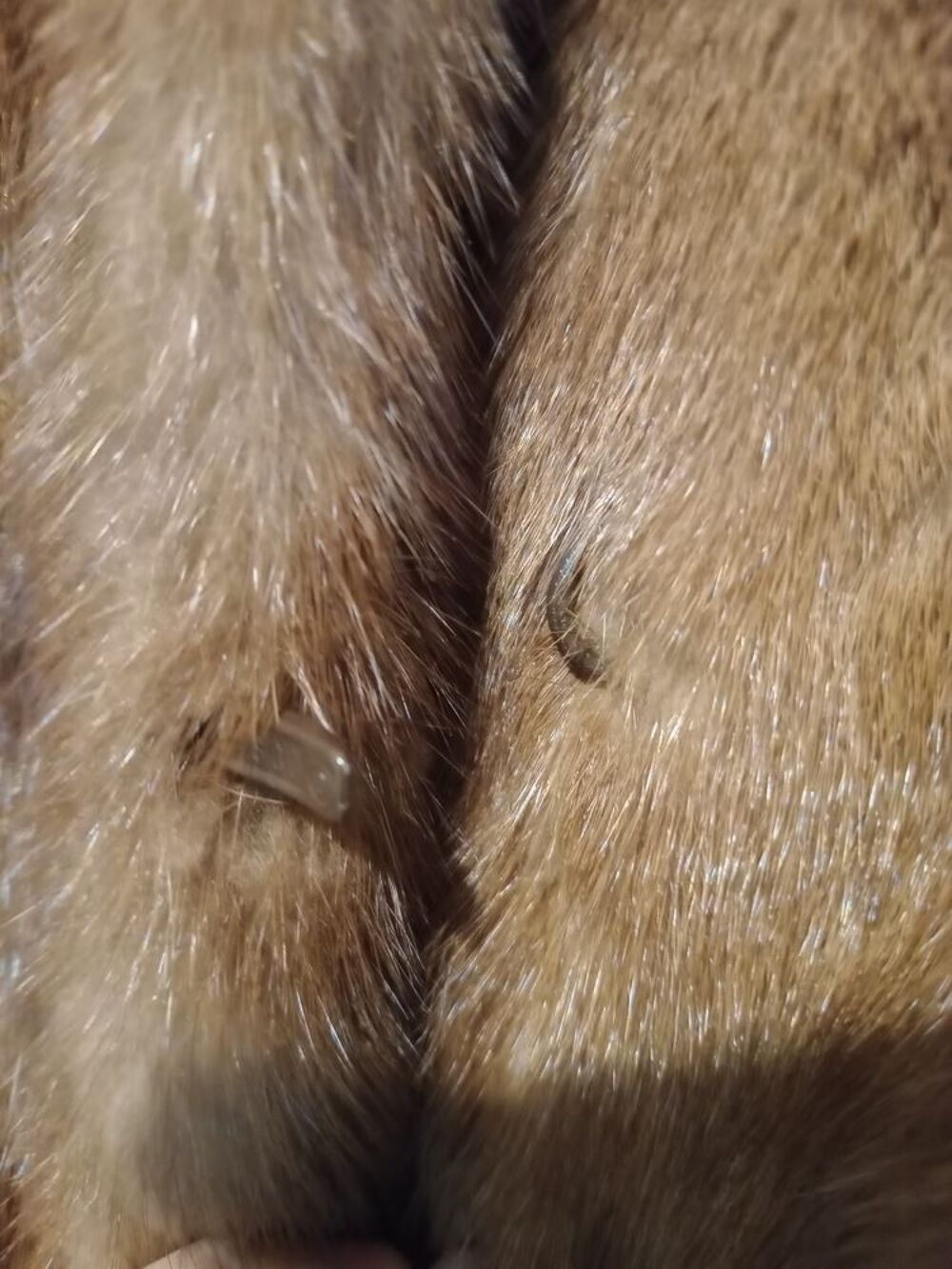 Manteau vison palomino Vêtements