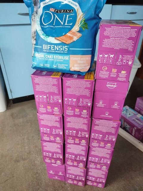 Lot boîtes de sachets Whiskas 7+ chat 60 52290 claron-braucourt-sainte-livire