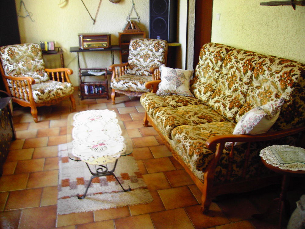 salon ( bois et velours ) Meubles