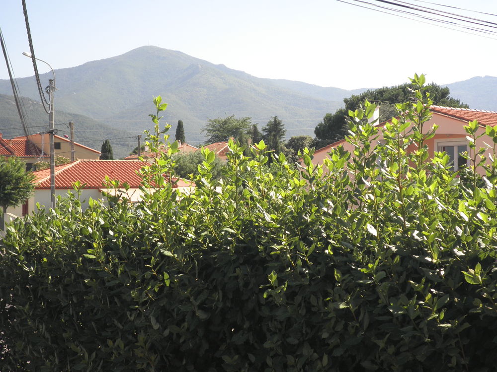   A 10 mn d'Argelès Plage dans Maison au Calme Languedoc-Roussillon, Saint-André (66690)