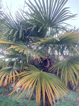  Appartement � vendre 13 pi�ces 100 m�