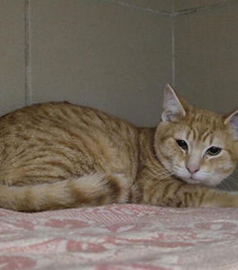 Luke 200 26700 Pierrelatte