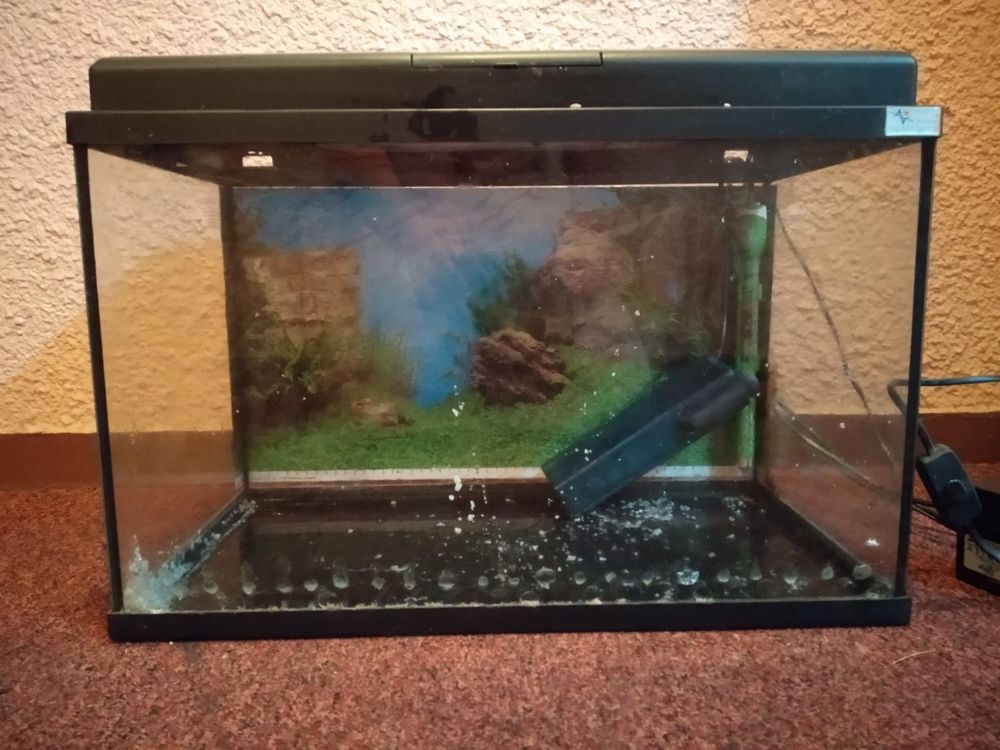 Aquarium 55 l Décoration
