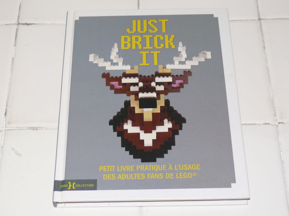 Livre : "Just brick it" Livres et BD