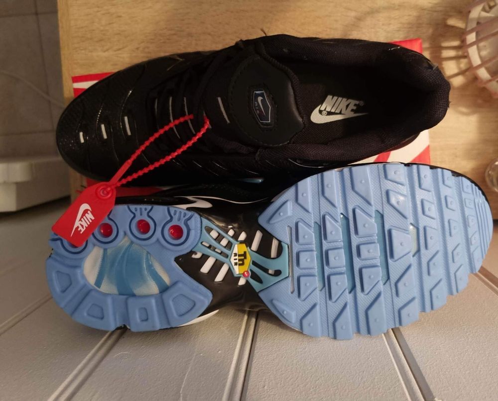 Paire de Nike Tn Chaussures