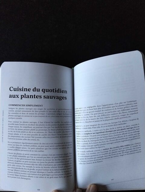 apprendre à  cueillir les plantes sauvages Préty (71)