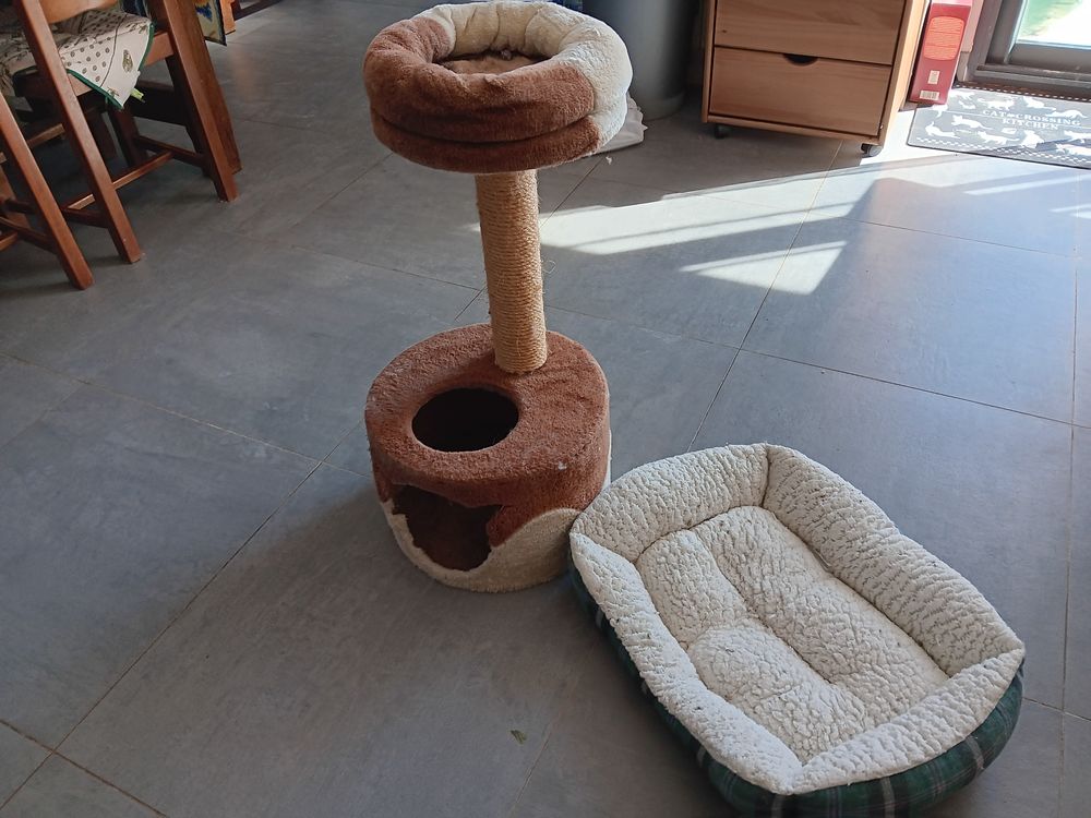 ARBRE A CHAT ET CORBEILLE A CHAT Cuisine
