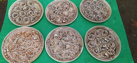 SUPERBE ASSIETTES �� COQUILLAGES 40 Tourette-du-Ch�teau (06)