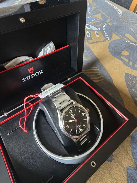 Tudor heritage 1400 Annecy (74)