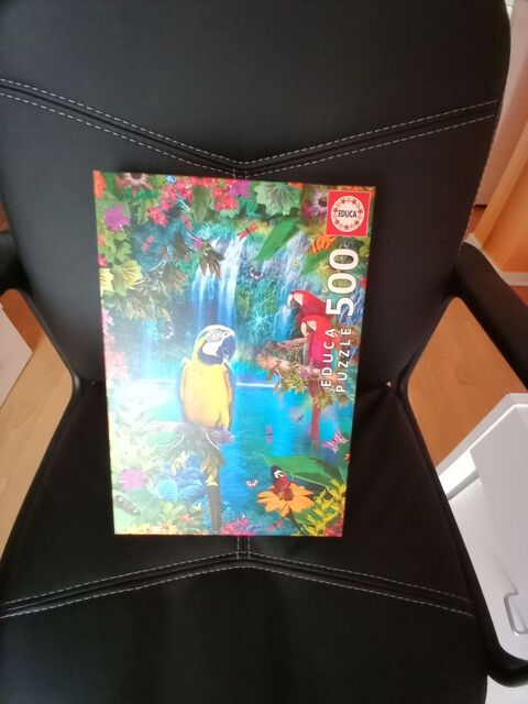 PUZZLE COLORE 500 PIECES 5 Mrignac (33)