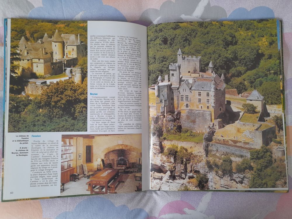 CHATEAUX et CHATEAUX FORTS de FRANCE Livres et BD