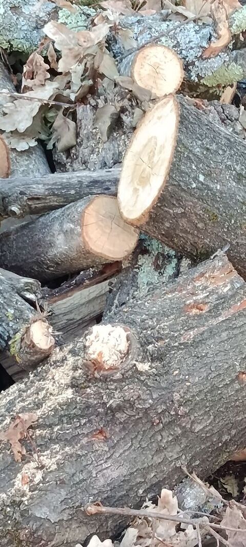 Bois de chauffage 100 Pessac (33)