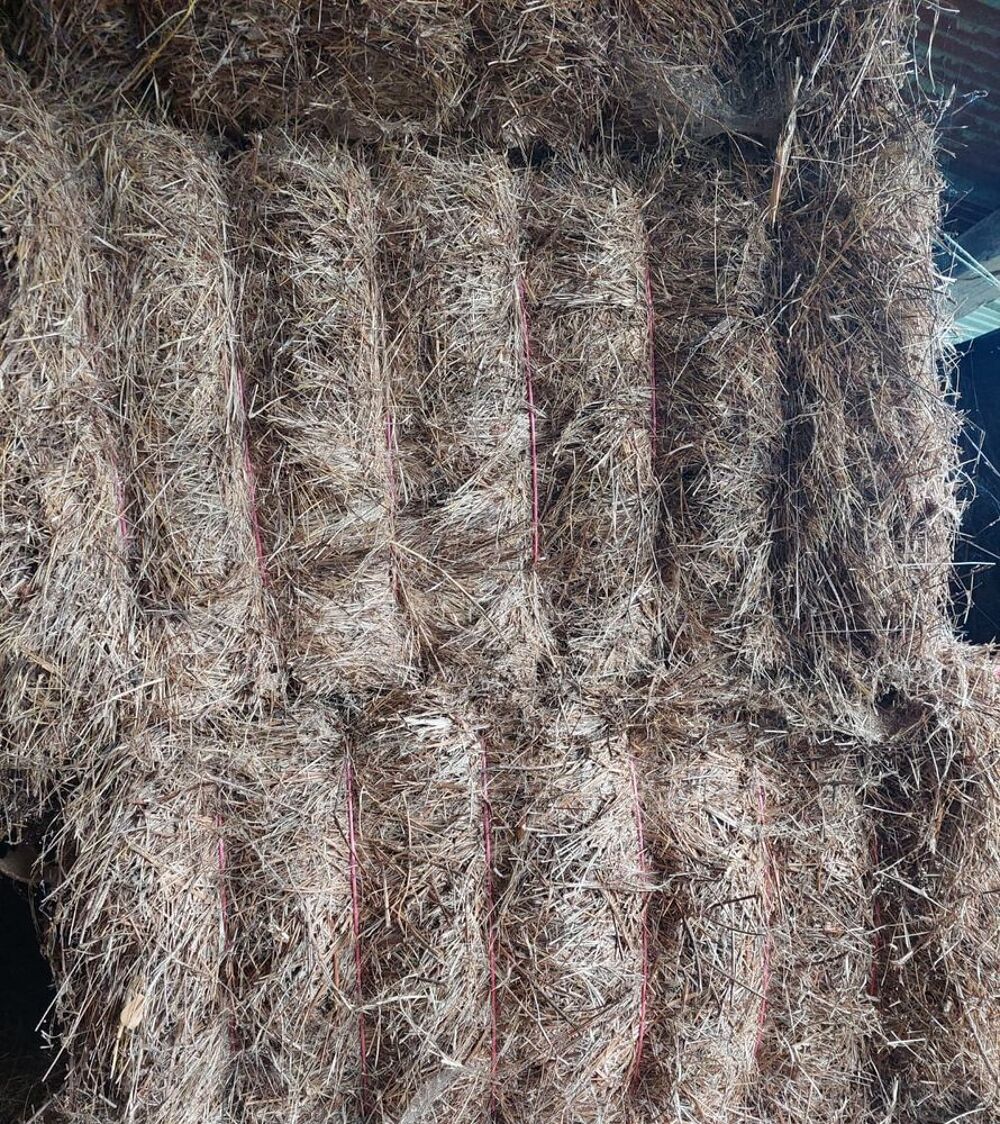   Bottes de foin carrées de prairie temporaire 2025 