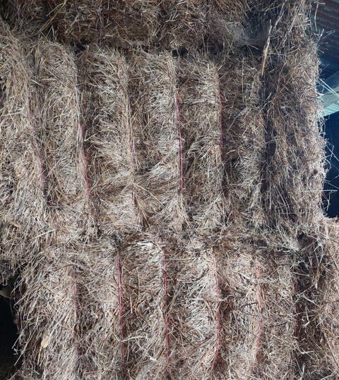 Bottes de foin carr&eacute;es de prairie temporaire 2025 80 12220 Montbazens