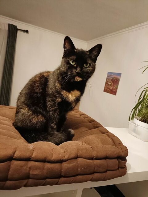 Dany attend sa famille ! 190 92400 Courbevoie