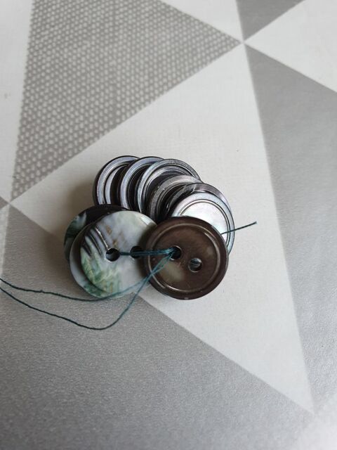 Boutons iris�s 5 Fontenay-sous-Bois (94)