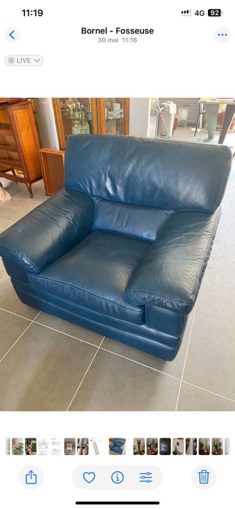 fauteuil cuir 120 Bornel (60)