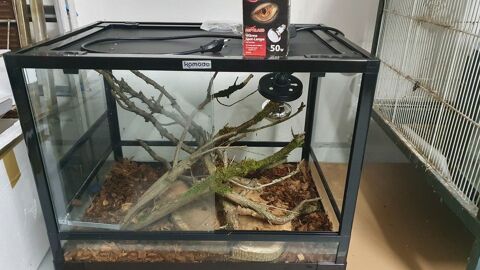 Terrarium 120 91120 Palaiseau
