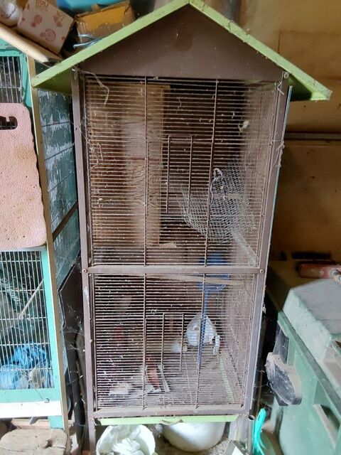 cages oiseaux 50 79310 Mazires-en-gtine